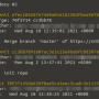 git-log-graph.png